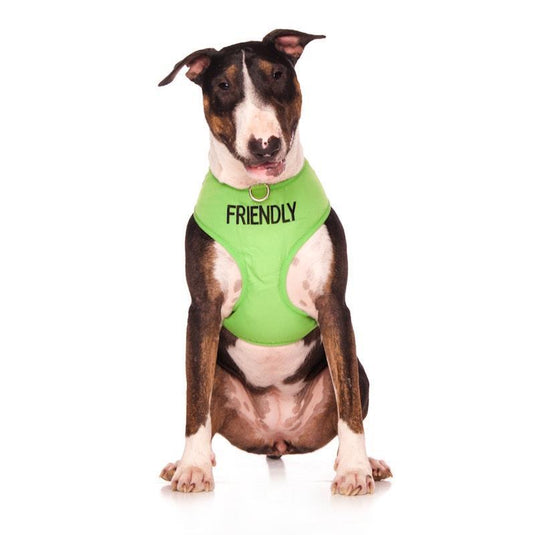 Friendly Dog Collars Friendly Large Adjustable Vest Harness 1pc