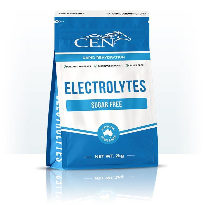 Load image into Gallery viewer, CEN Horse Electrolytes Supplement 2kg
