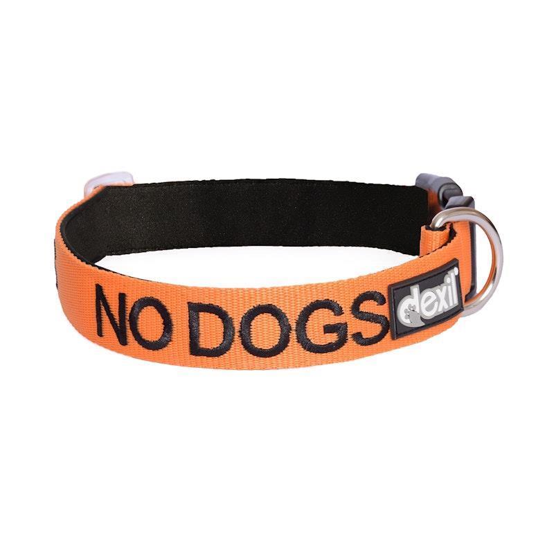 Load image into Gallery viewer, Friendly Dog Collars No Dogs L/XL Clip Collar 1pc

