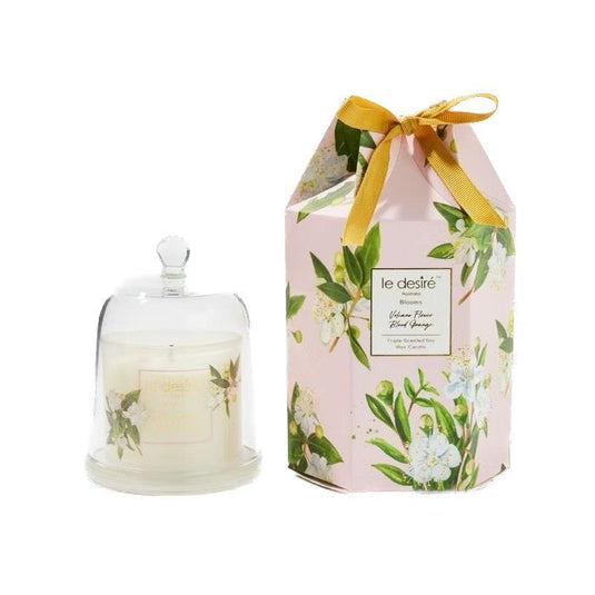 Le Desire Volcano Flower Blood Orange - Blooms Soy Candle with Glass Cloche 120g