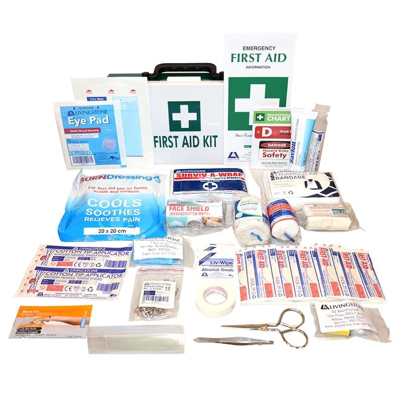 Load image into Gallery viewer, Livingstone Work Vehicle First Aid Kit Small In Plastic Case Bundle
