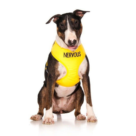 Friendly Dog Collars NERVOUS Large adjustable Vest Harness 1pc