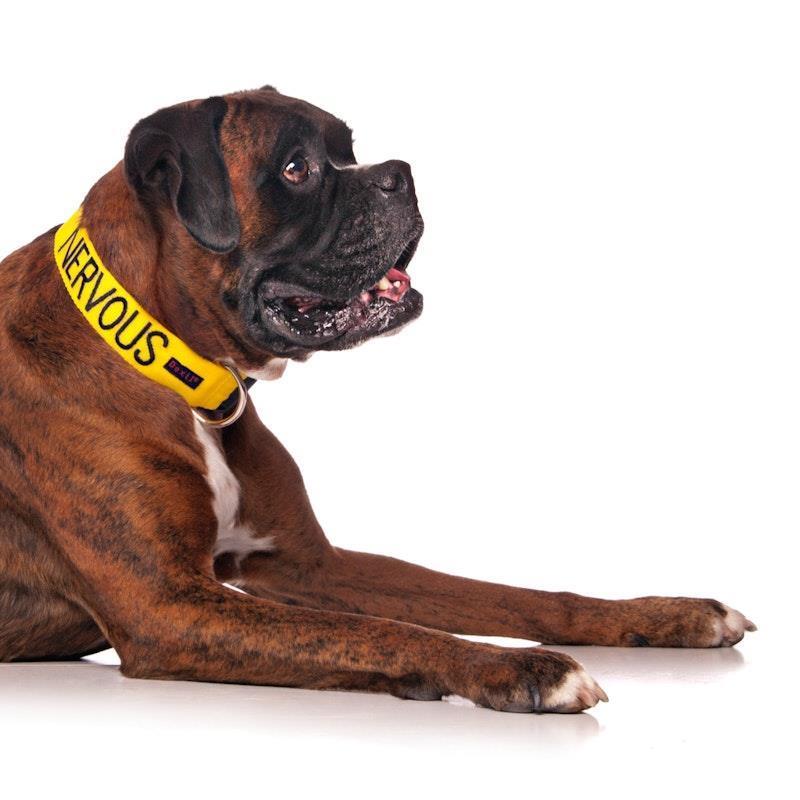 Load image into Gallery viewer, Friendly Dog Collars NERVOUS L/XL Clip Collar 1pc
