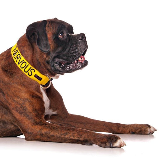 Friendly Dog Collars NERVOUS L/XL Clip Collar 1pc