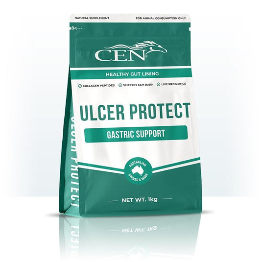 CEN Ulcer Protect Horse Supplement 1kg