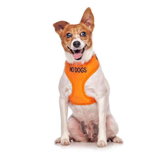 Friendly Dog Collars No Dogs Small Adjustable Vest Harness 1pc