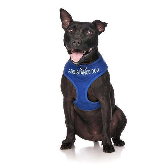 Friendly Dog Collars ASSISTANCE DOG Medium adjustable Vest Harness 1pc