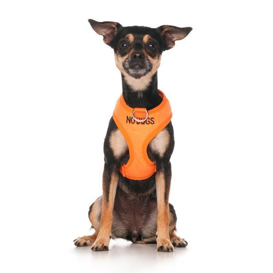Friendly Dog Collars No Dogs XS Adjustable Vest Harness 1pc
