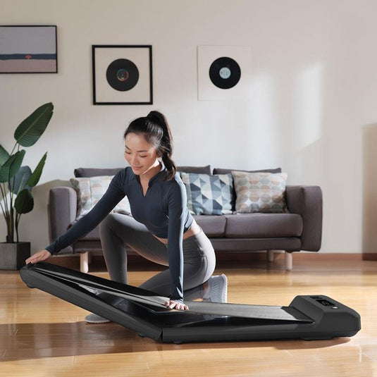 Lifespan Fitness WalkingPad™ M2 Treadmill One Size