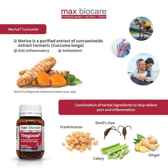 Max Biocare Tregocel® 3Pack