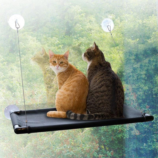 Paws & Claws Window Mounted Cat Hammock 1pc
