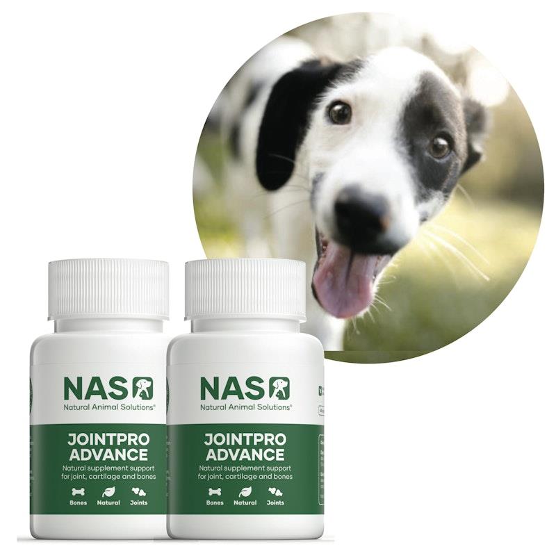 Load image into Gallery viewer, Natural Animal Solutions Joint Pro Advance 60 Capsules

