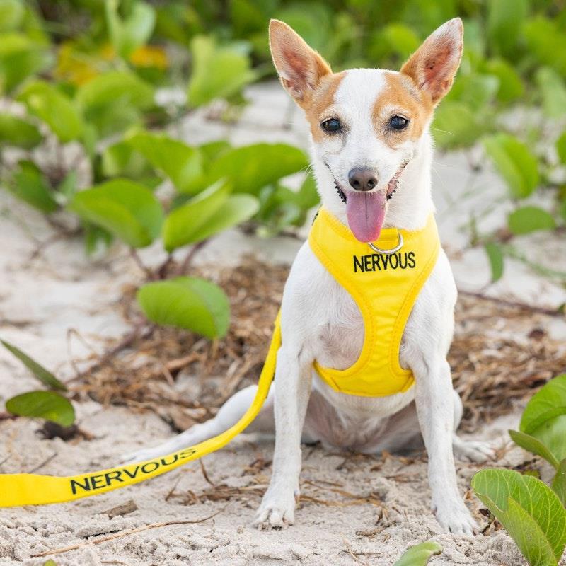 Load image into Gallery viewer, Friendly Dog Collars NERVOUS XS adjustable Vest Harness 1pc

