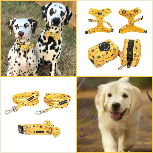 Soapy Moose Extra Large Dog Accessory Pack