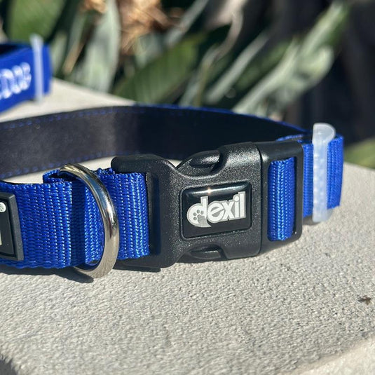 Friendly Dog Collars ASSISTANCE DOG L/XL Clip Collar 1pc