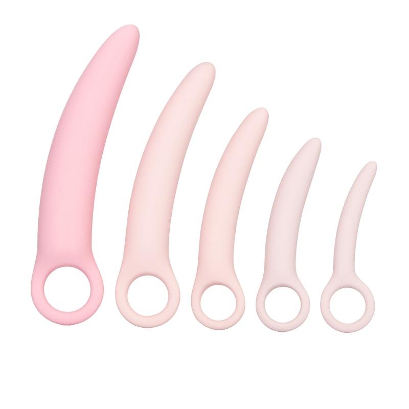 Load image into Gallery viewer, CalExotics Inspire Silicone Dilator 5 Piece Set Pink
