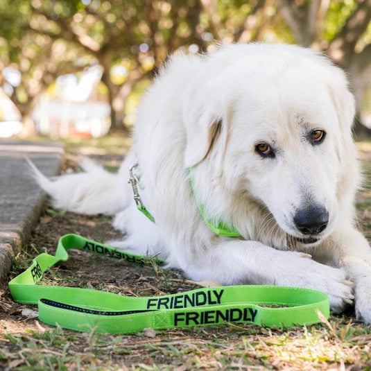 Friendly Dog Collars Friendly Long Lead 1pc