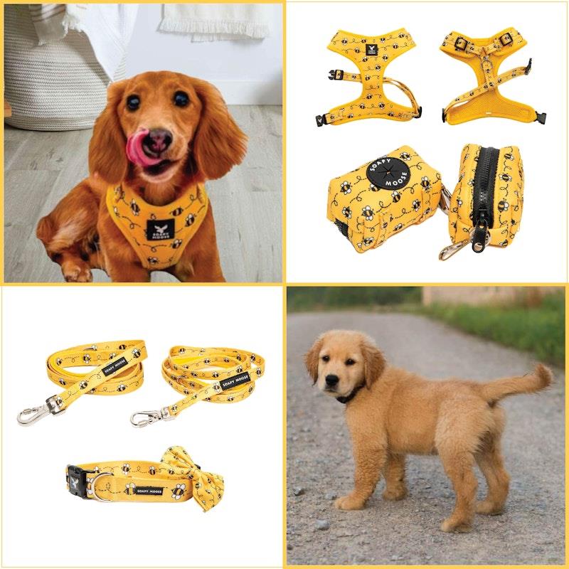 Load image into Gallery viewer, Soapy Moose Medium Dog Collar, Lead  &amp; Poop Bag Pack
