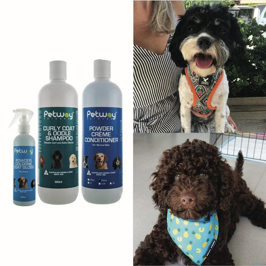 Petway Curly Hair Care Dog Grooming Pack Bundle