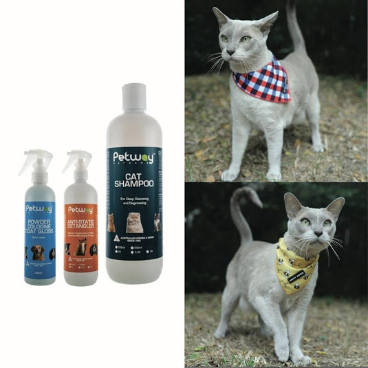 Petway Cat Shampoo and Detangle Grooming Pack Bundle