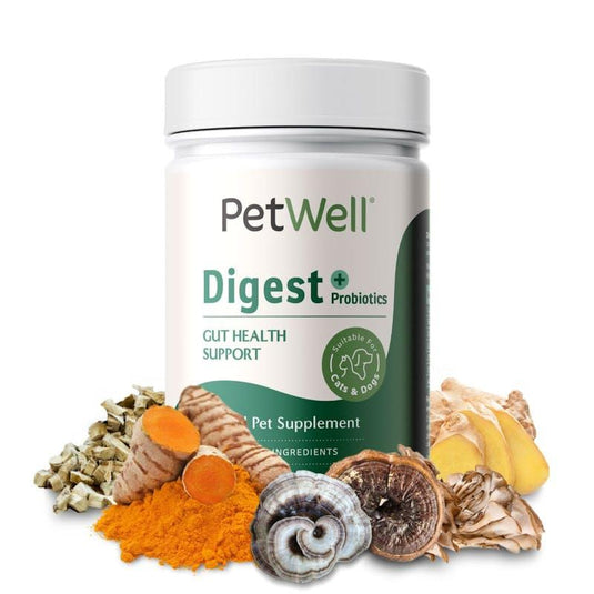 PetWell DIGEST – Gut Health for Cats and Dogs 125g
