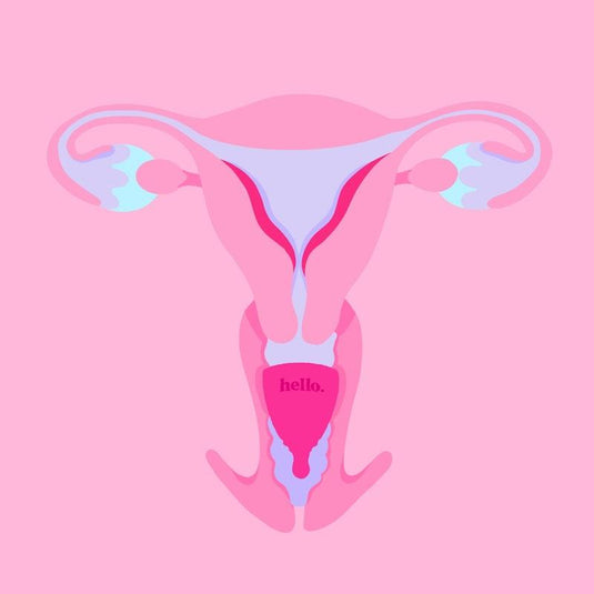 Hello. Period Average Cervix Cup Lilac SML
