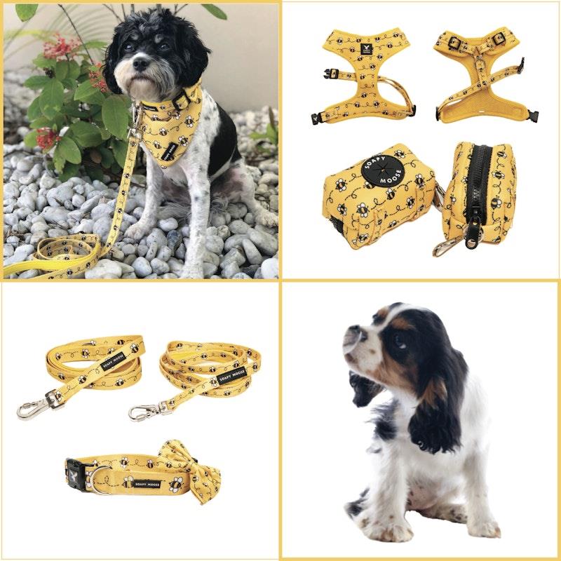 Load image into Gallery viewer, Soapy Moose Extra Small Dog Collar, Lead  &amp; Poop Bag Pack
