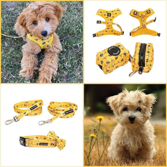 Soapy Moose Extra Small Dog Cat Accessory Pack