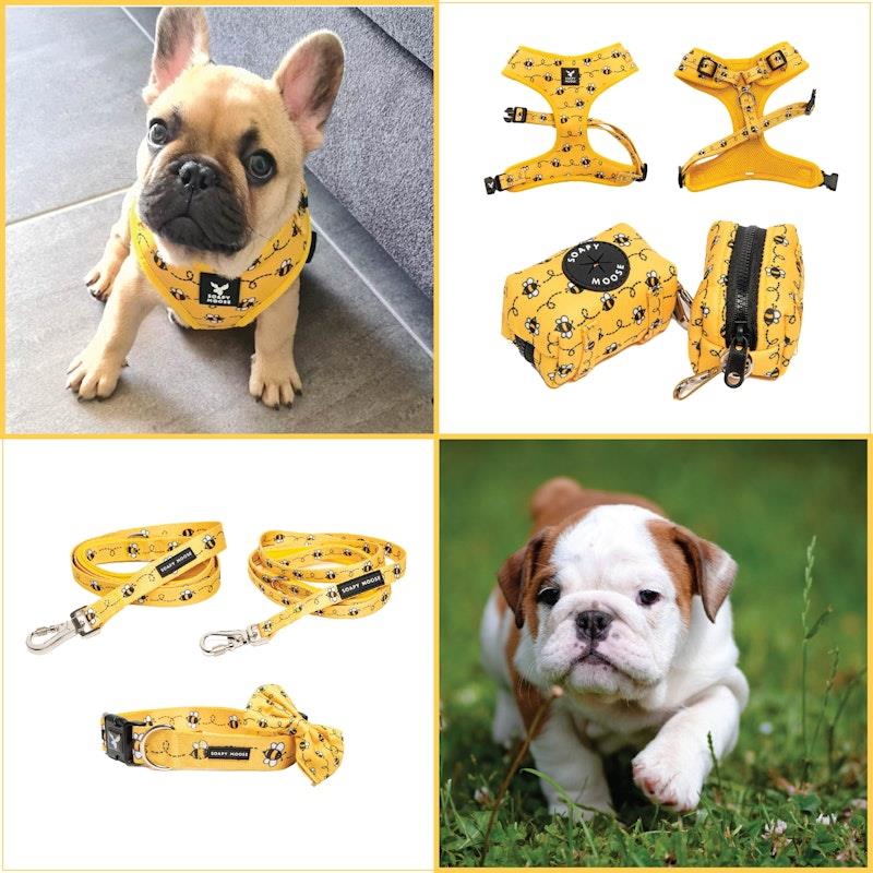 Load image into Gallery viewer, Soapy Moose Medium Dog Accessory Pack
