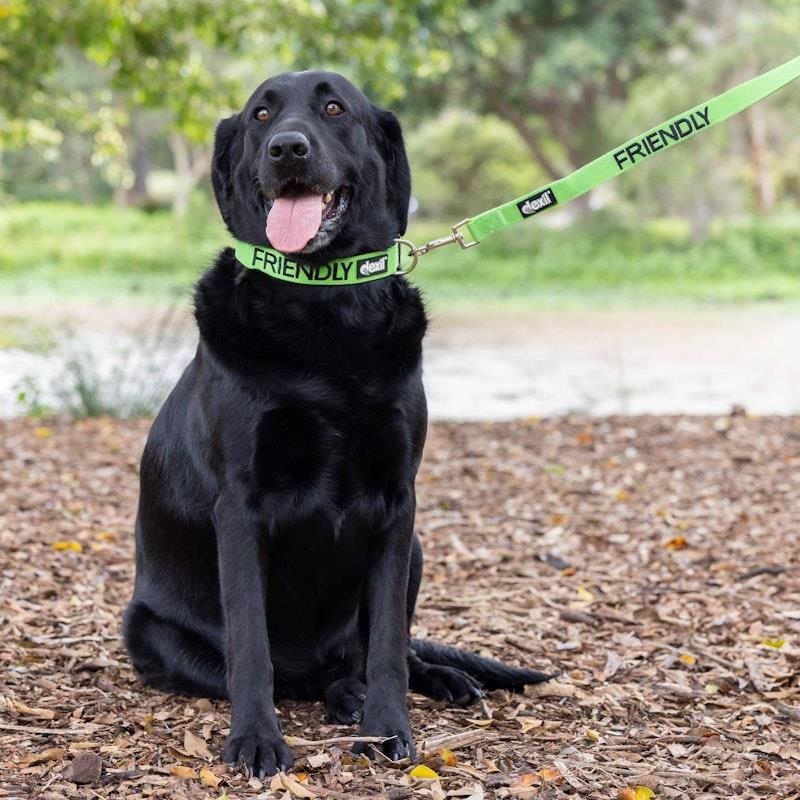 Load image into Gallery viewer, Friendly Dog Collars Friendly L/XL Clip Collar 1pc
