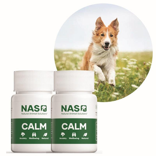 Natural Animal Solutions Pet Calm Pack Bundle