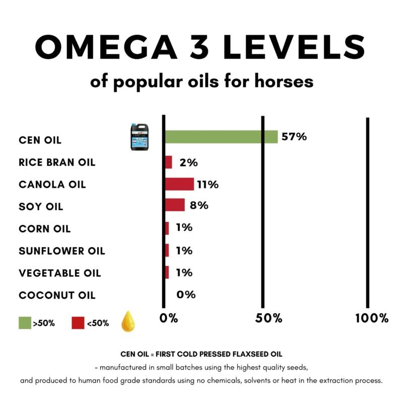 Load image into Gallery viewer, CEN Cold Pressed Flaxseed Oil For Horses 4.5L
