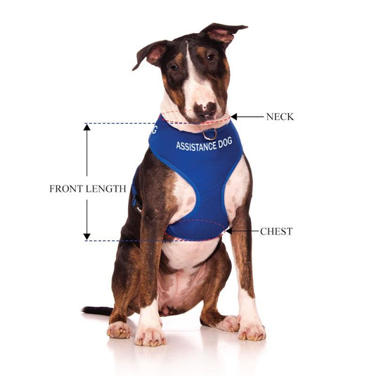 Friendly Dog Collars ASSISTANCE DOG Large adjustable Vest Harness 1pc