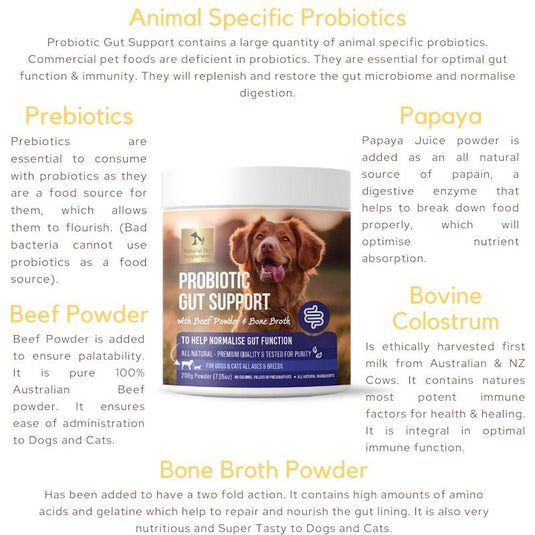 Natural Pet Supplements Probiotic Gut Support for Dogs and Cats 200g