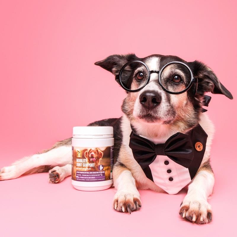 Load image into Gallery viewer, Natural Pet Supplements Mobility Joint Support Powder for Dogs and Cats 300g
