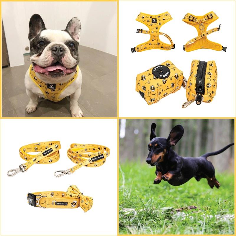 Load image into Gallery viewer, Soapy Moose Small Dog Accessory Pack
