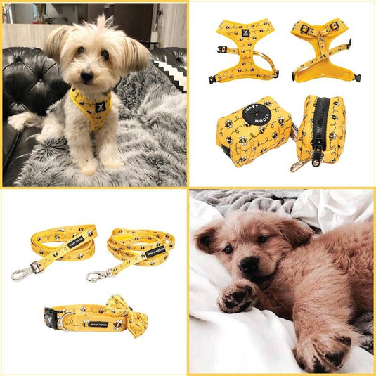 Soapy Moose Large Dog Accessory Pack