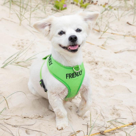 Friendly Dog Collars Friendly Small Adjustable Vest Harness 1pc