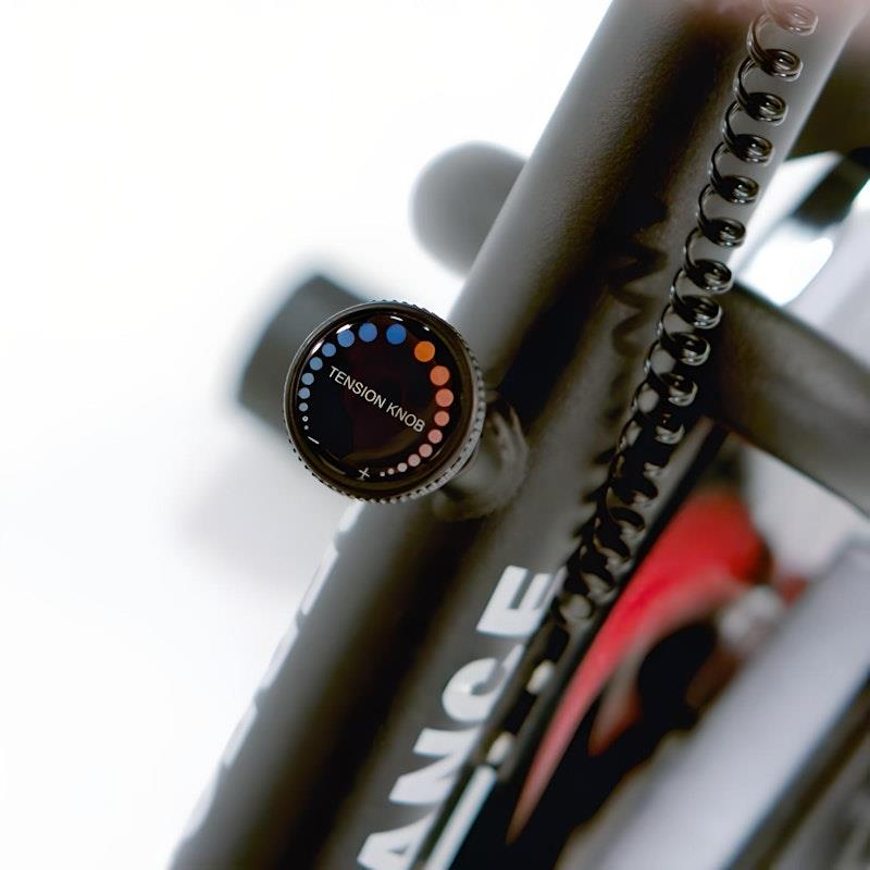 Load image into Gallery viewer, York Performance Speed Bike One Size
