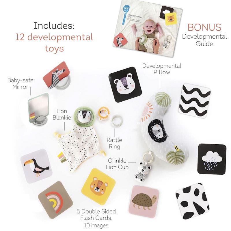 Load image into Gallery viewer, Taf Toys Newborn Develop&amp; Play Kit

