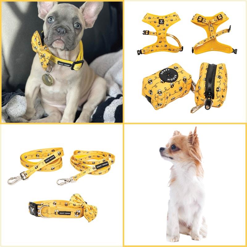 Load image into Gallery viewer, Soapy Moose Small Dog Collar, Lead  &amp; Poop Bag Pack
