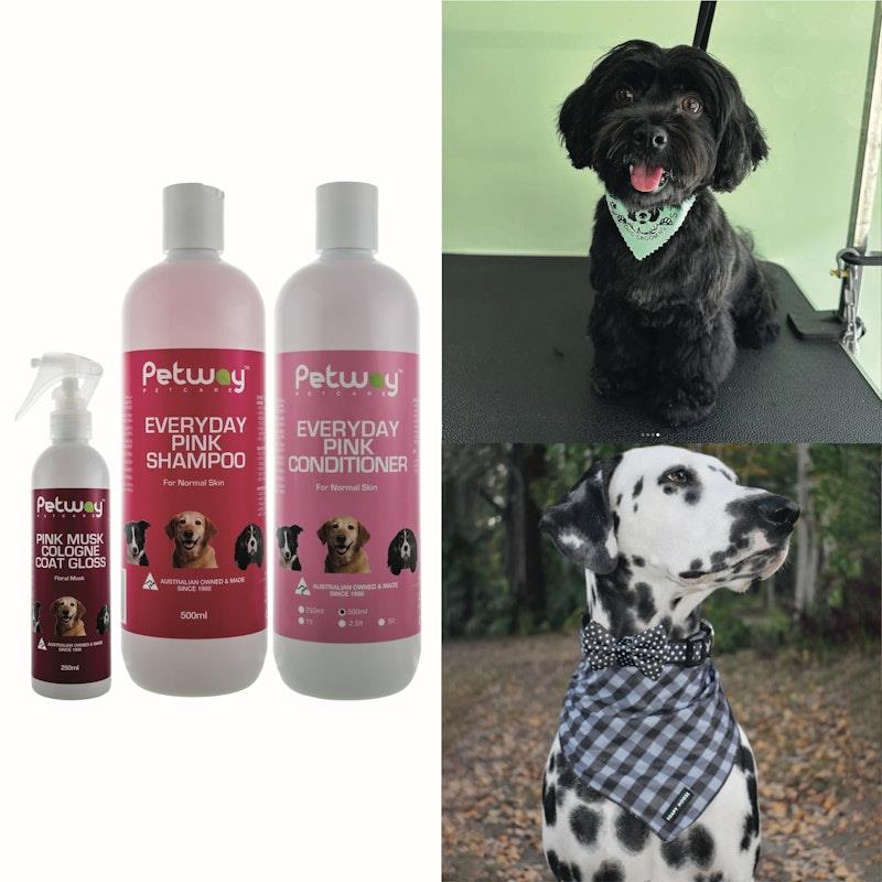 Load image into Gallery viewer, Petway Everyday Care Dog Grooming Pack Bundle
