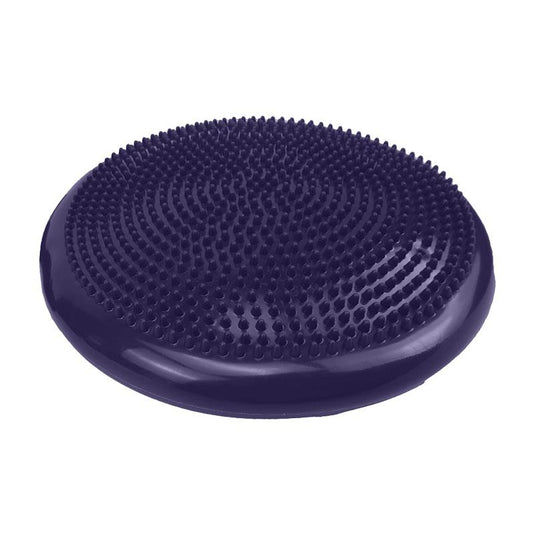Powertrain Yoga Stability Disc Home Gym Pilates Balance Trainer Purple