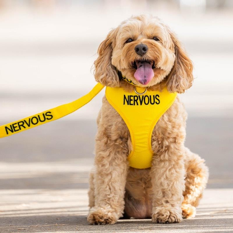 Load image into Gallery viewer, Friendly Dog Collars NERVOUS Small adjustable Vest Harness 1pc
