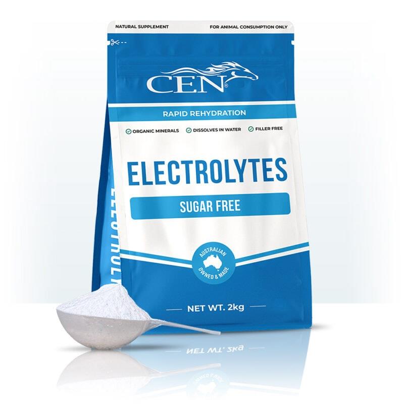 Load image into Gallery viewer, CEN Horse Electrolytes Supplement 2kg
