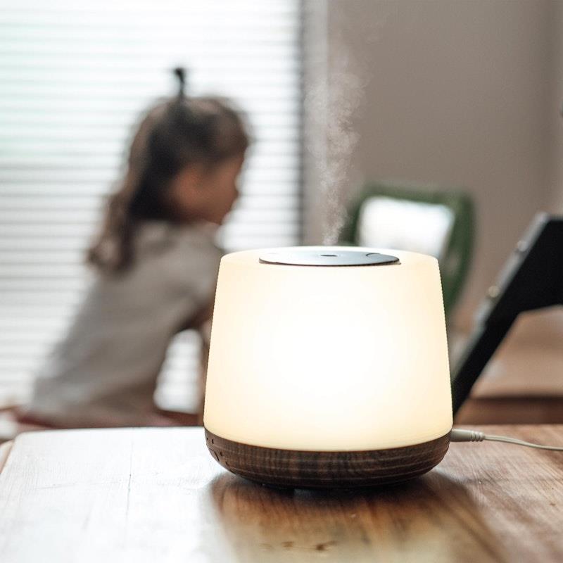 Load image into Gallery viewer, Lively Living Aroma-Home Diffuser 500ml + Oil 1unit
