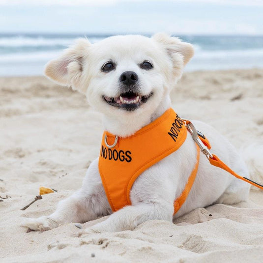 Friendly Dog Collars No Dogs XS Adjustable Vest Harness 1pc