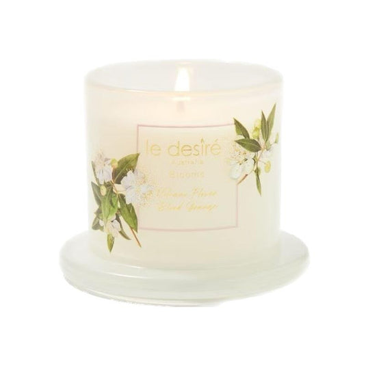 Le Desire Volcano Flower Blood Orange - Blooms Soy Candle with Glass Cloche 120g