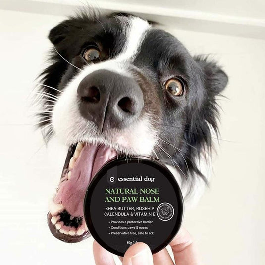 Essential Dog Natural Dog Nose and Paw Balm 50g 1Unit