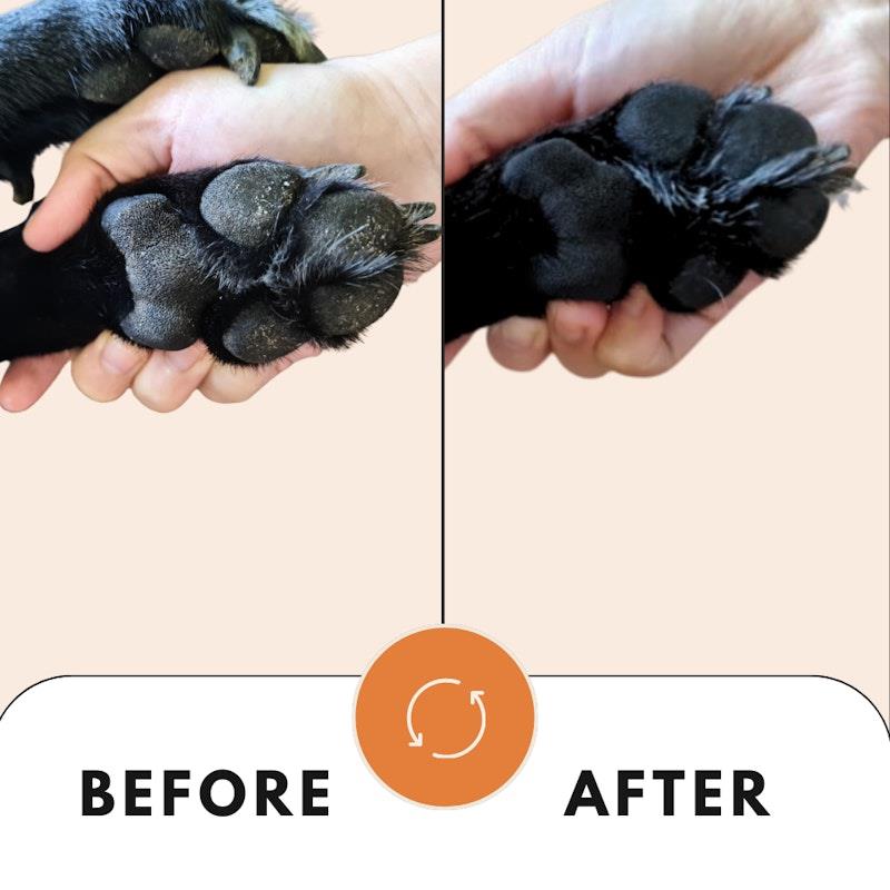 Load image into Gallery viewer, Pawlavie Soothing Nose &amp; Paw Balm - For cats &amp; dogs 80g
